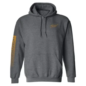 wildbobby-inventory Forza Motorsport Logo Pullover Hoodie Best Sale